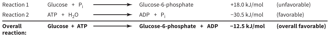 biol-4320-materials/Course Materials/_assets/tan1e_ch_01_lecture/image-002.jpg