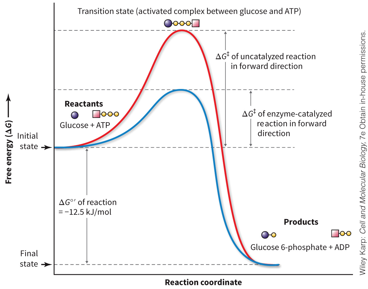 biol-4320-materials/Course Materials/_assets/tan1e_ch_01_lecture/image-004.jpg