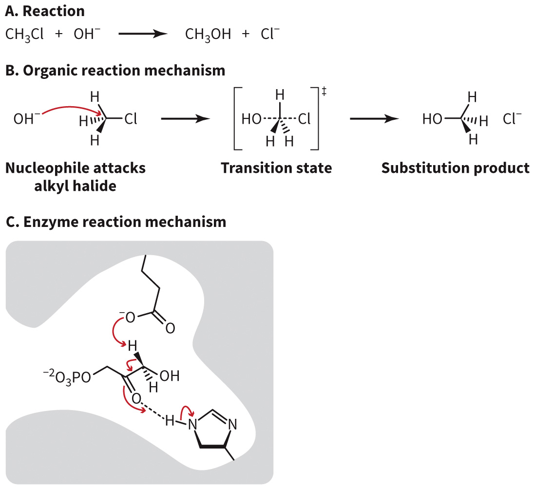 biol-4320-materials/Course Materials/_assets/tan1e_ch_01_lecture/image-007.jpg