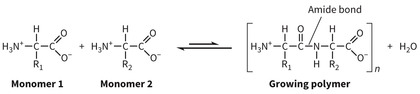 biol-4320-materials/Course Materials/_assets/tan1e_ch_01_lecture/image-008.jpg