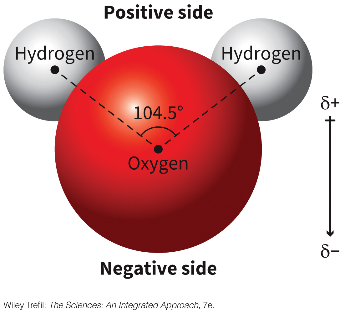 biol-4320-materials/Course Materials/_assets/tan1e_ch_01_lecture/image-009.jpg