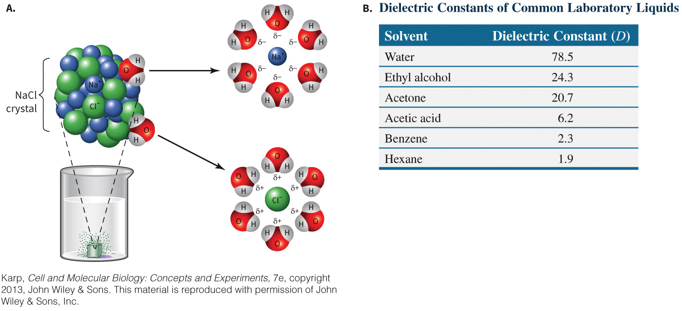 biol-4320-materials/Course Materials/_assets/tan1e_ch_01_lecture/image-011.jpg