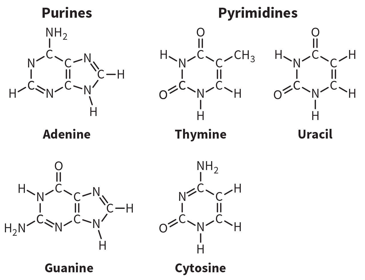 biol-4320-materials/Course Materials/_assets/tan1e_ch_02_lecture/image-001.jpg