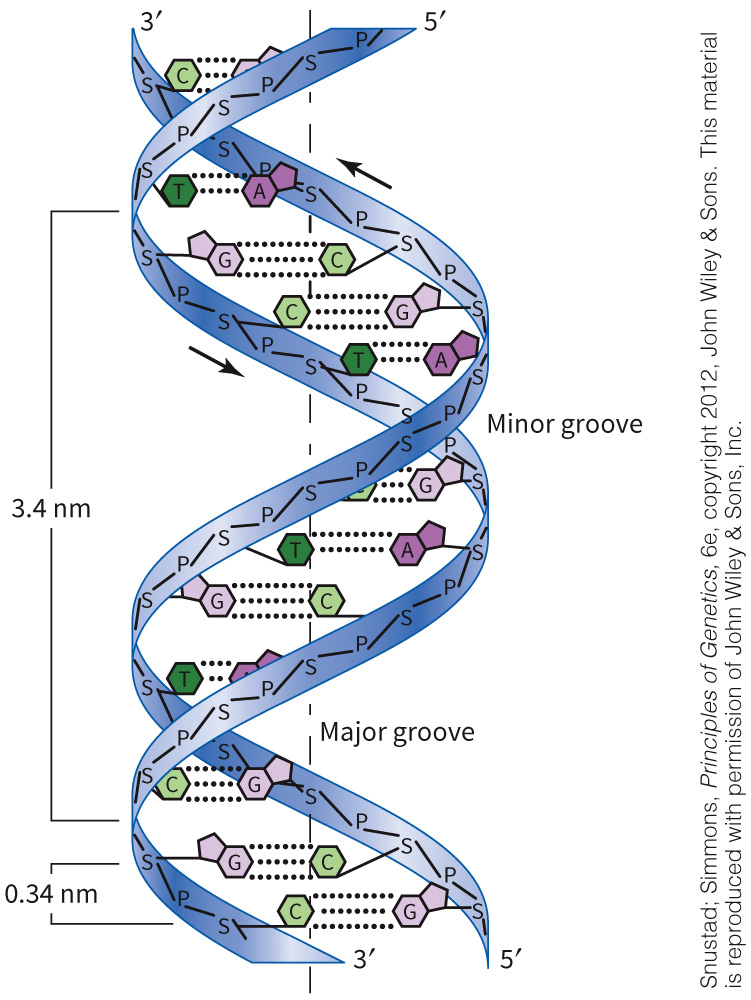 biol-4320-materials/Course Materials/_assets/tan1e_ch_02_lecture/image-004.jpg