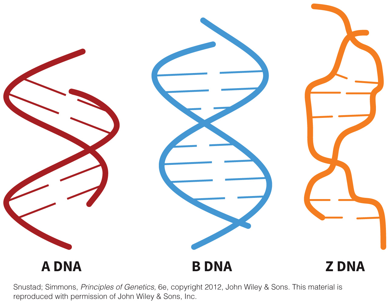 biol-4320-materials/Course Materials/_assets/tan1e_ch_02_lecture/image-005.jpg