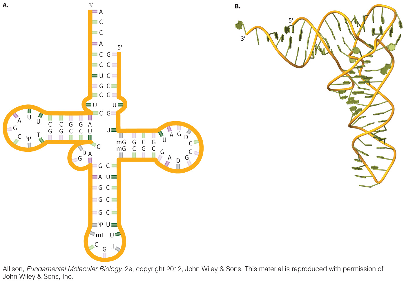 biol-4320-materials/Course Materials/_assets/tan1e_ch_02_lecture/image-008.jpg