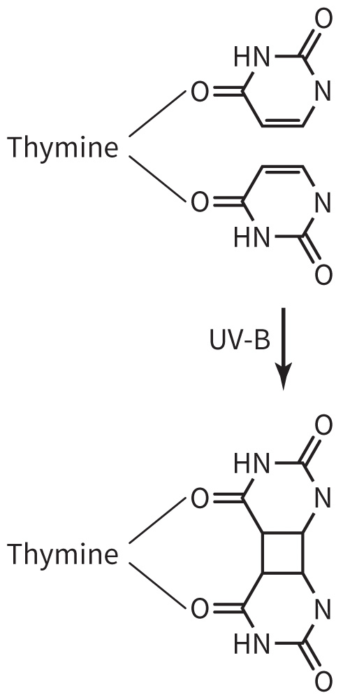 biol-4320-materials/Course Materials/_assets/tan1e_ch_02_lecture/image-010.jpg