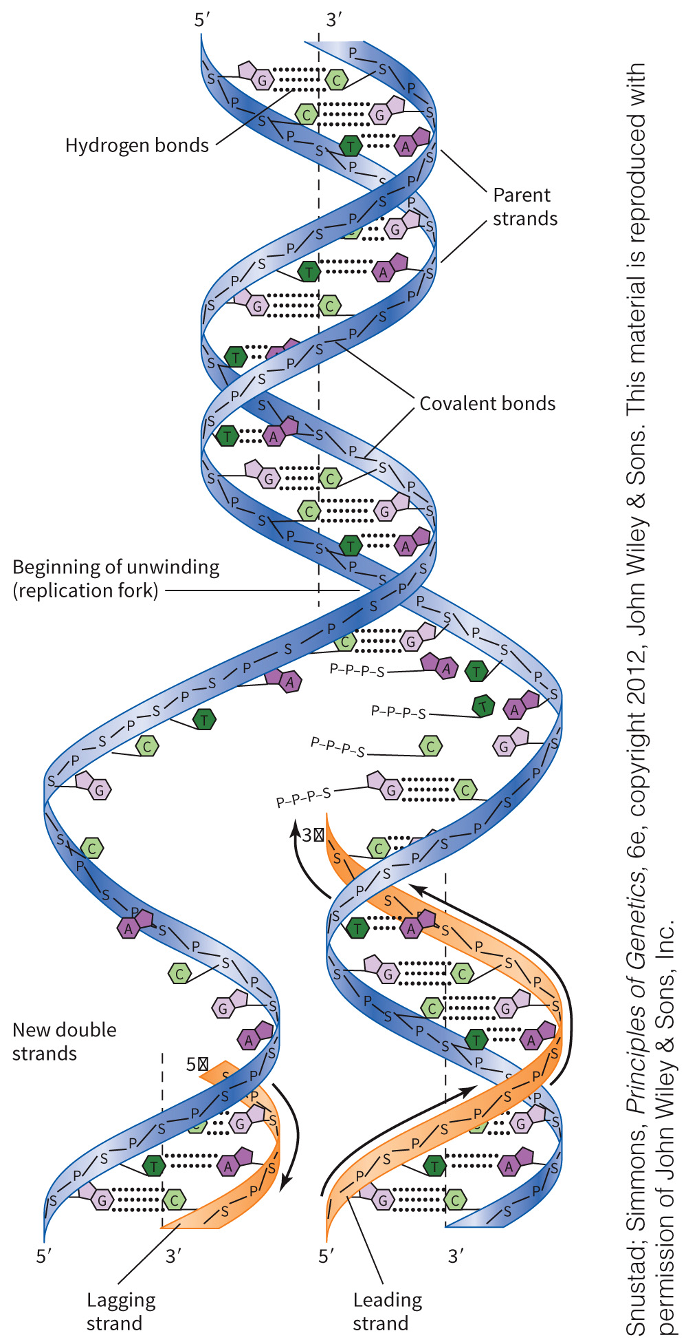 biol-4320-materials/Course Materials/_assets/tan1e_ch_02_lecture/image-012.jpg
