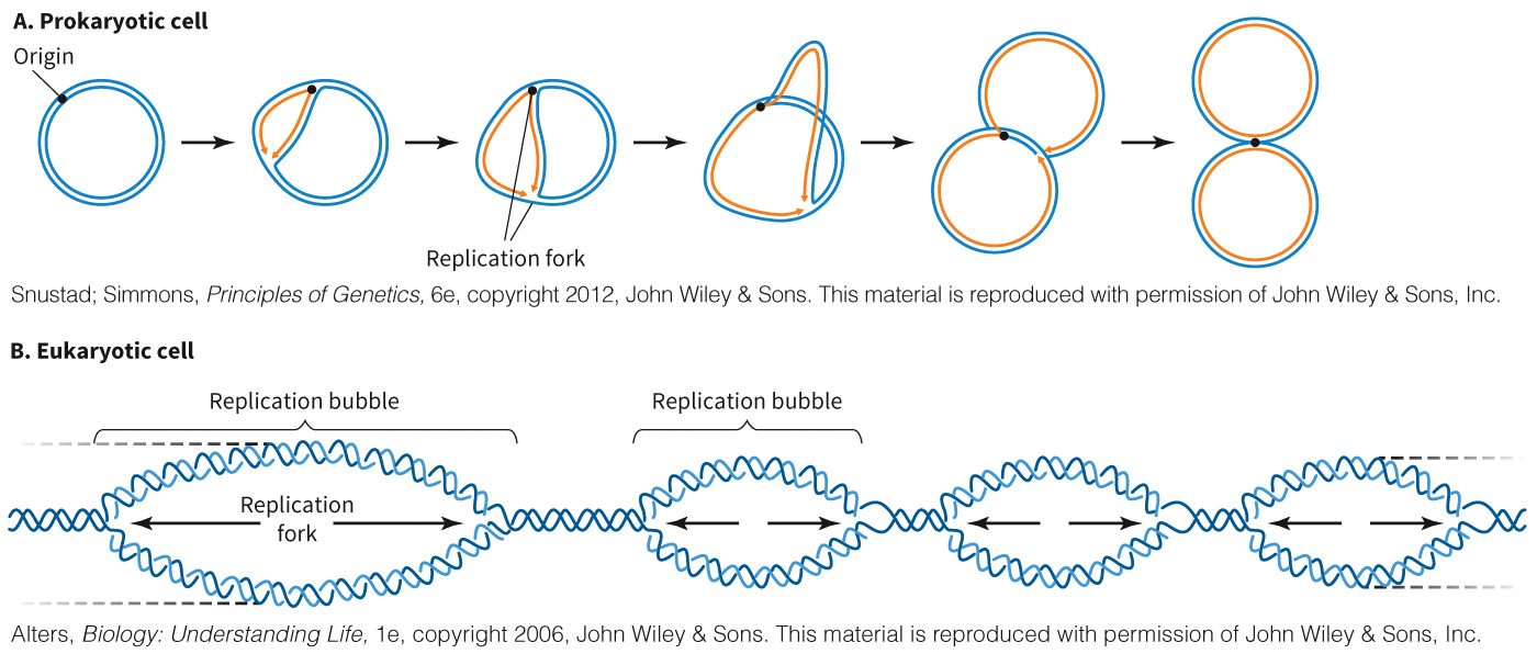biol-4320-materials/Course Materials/_assets/tan1e_ch_02_lecture/image-013.jpg