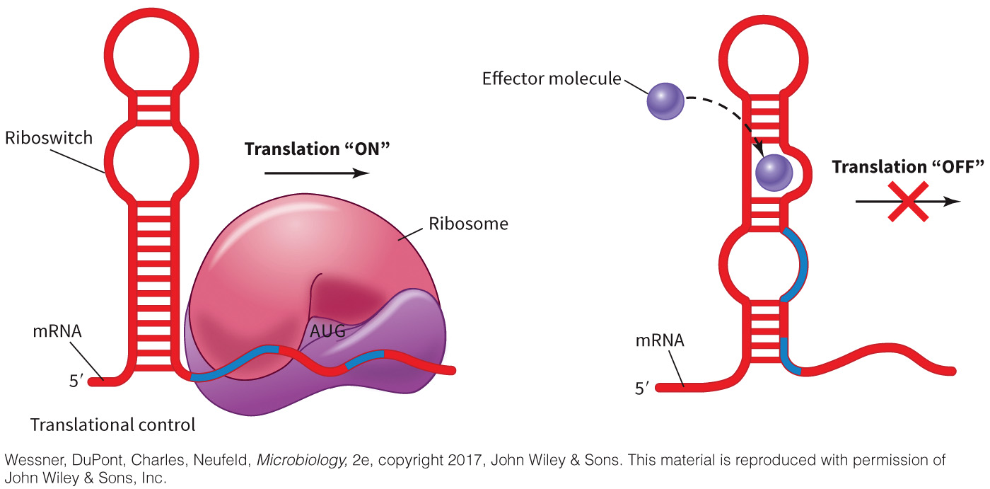 biol-4320-materials/Course Materials/_assets/tan1e_ch_02_lecture/image-017.jpg