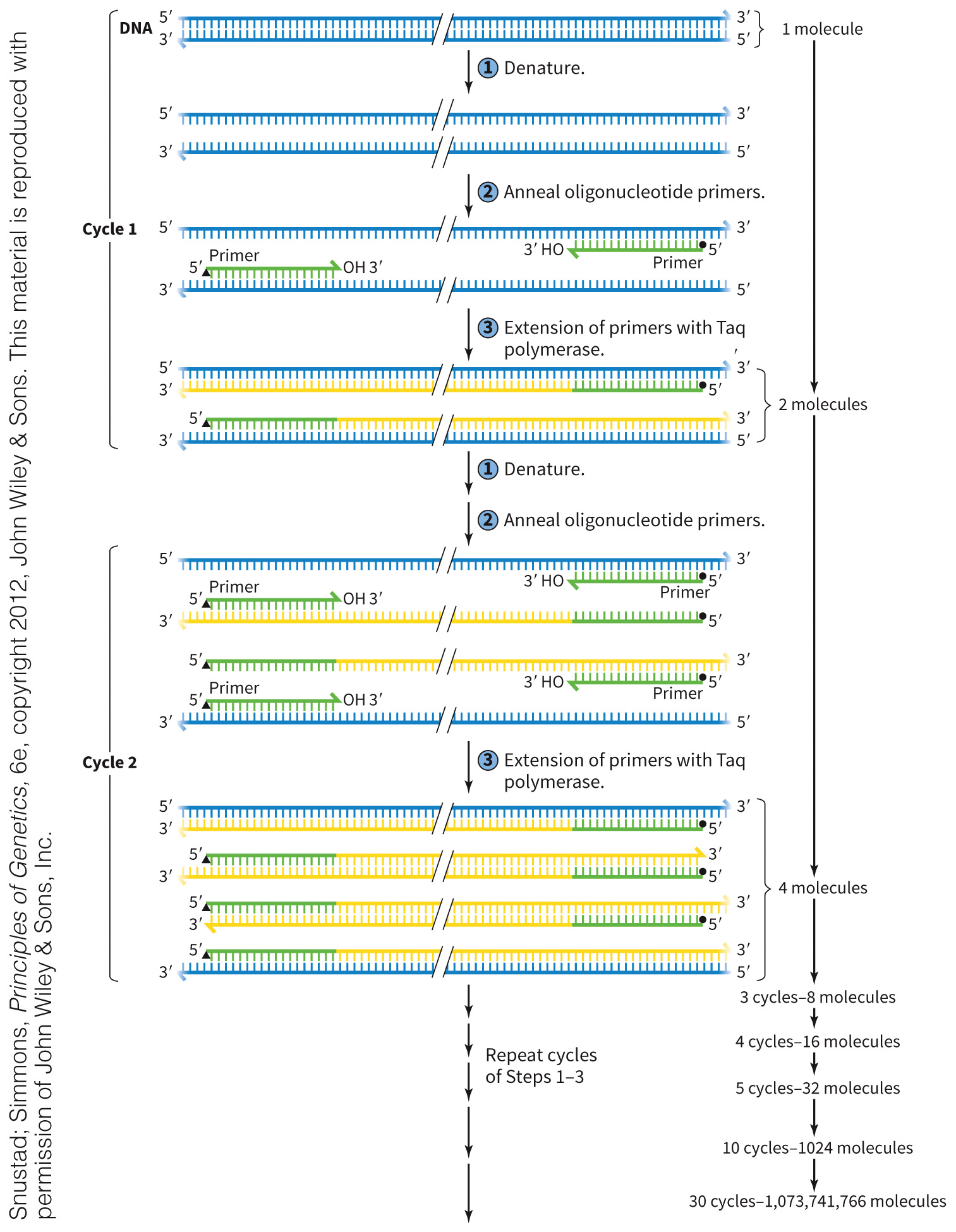 biol-4320-materials/Course Materials/_assets/tan1e_ch_02_lecture/image-019.jpg