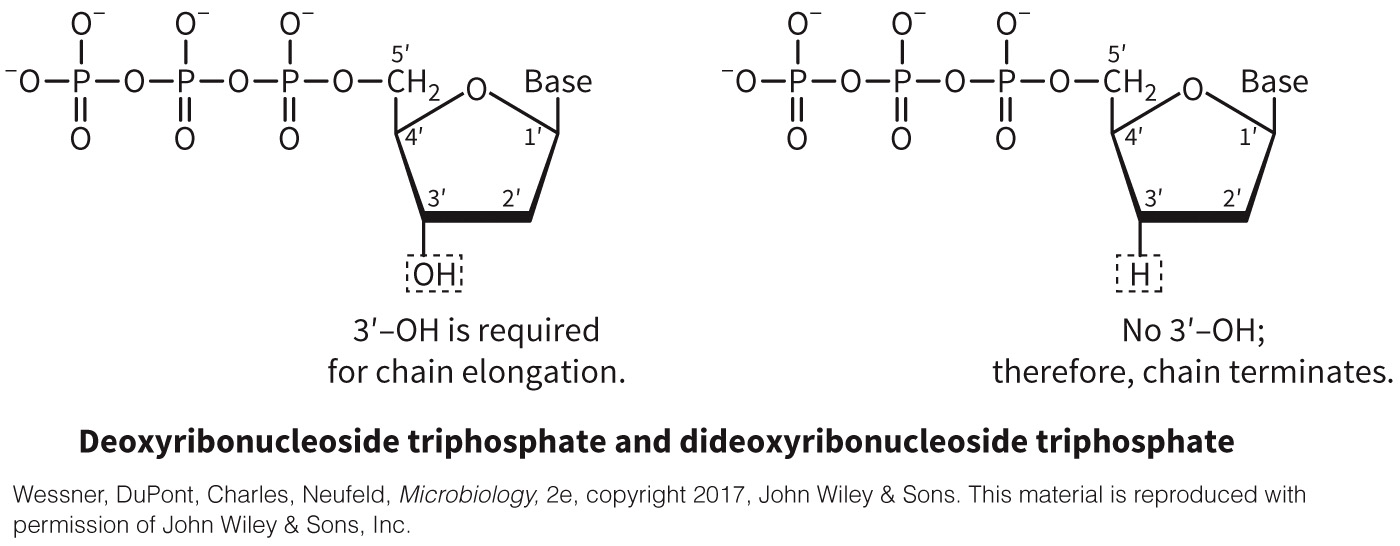 biol-4320-materials/Course Materials/_assets/tan1e_ch_02_lecture/image-020.jpg
