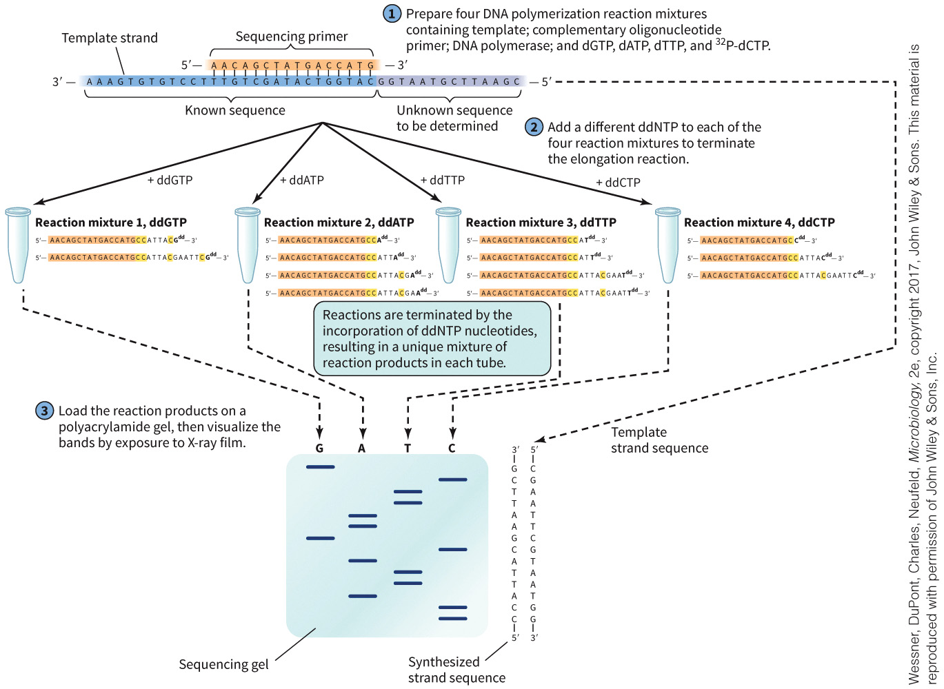 biol-4320-materials/Course Materials/_assets/tan1e_ch_02_lecture/image-021.jpg