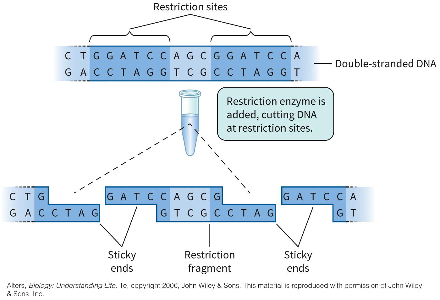 biol-4320-materials/Course Materials/_assets/tan1e_ch_02_lecture/image-025.jpg