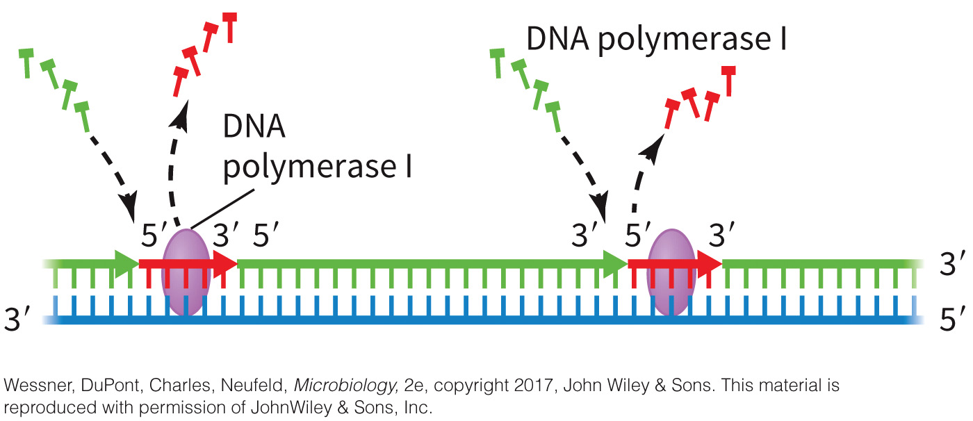 biol-4320-materials/Course Materials/_assets/tan1e_ch_02_lecture/image-027.jpg
