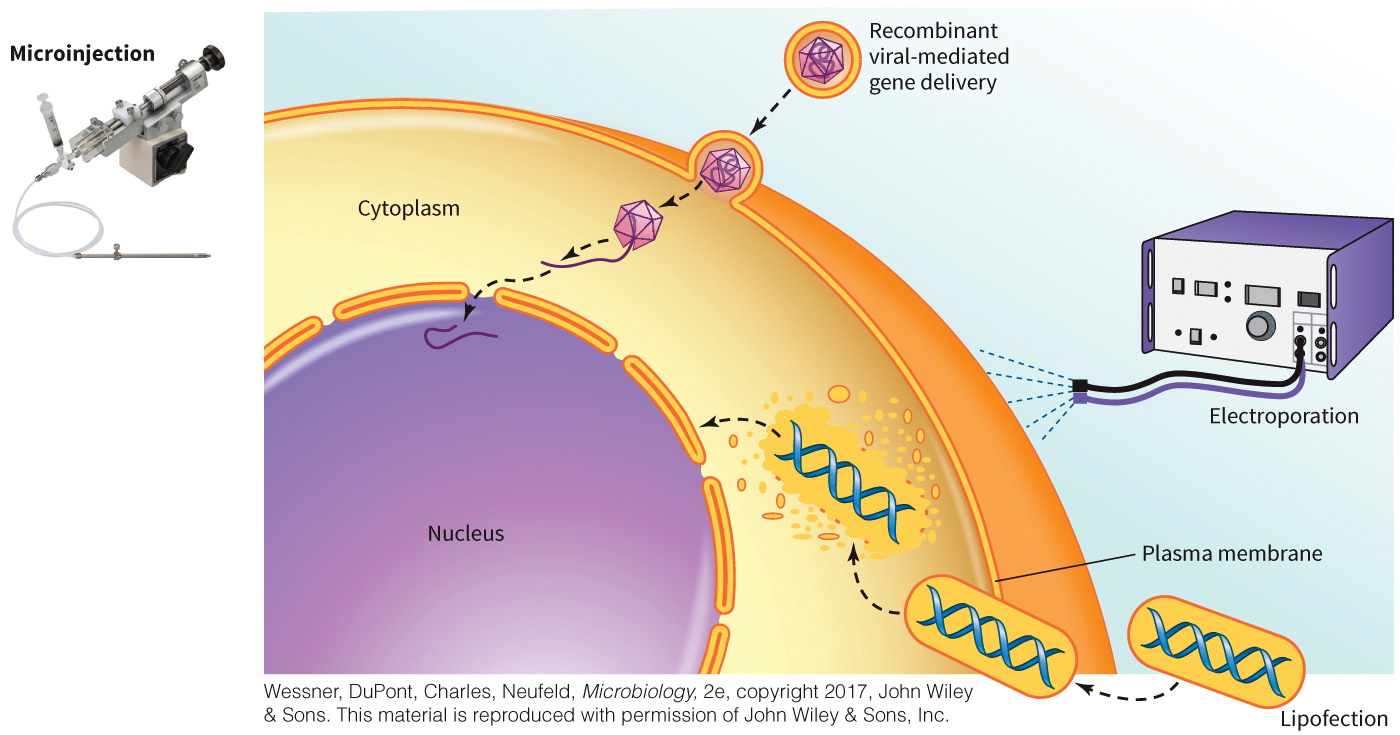 biol-4320-materials/Course Materials/_assets/tan1e_ch_02_lecture/image-030.jpg