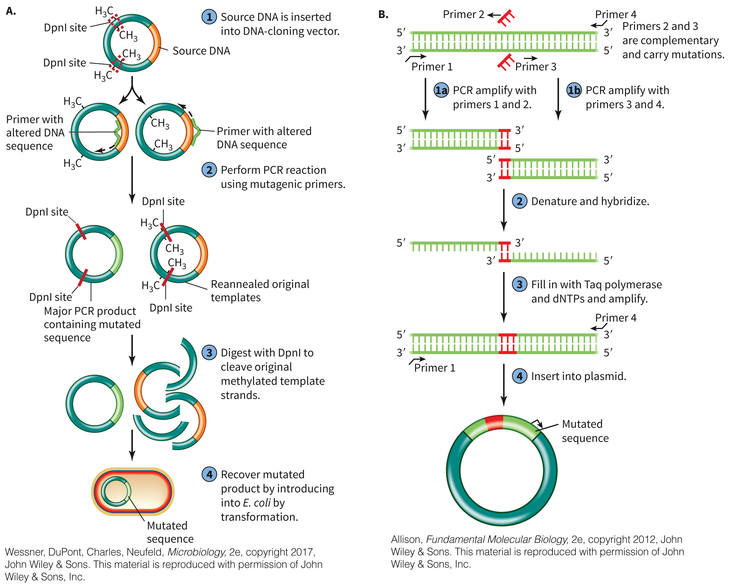 biol-4320-materials/Course Materials/_assets/tan1e_ch_02_lecture/image-032.jpg