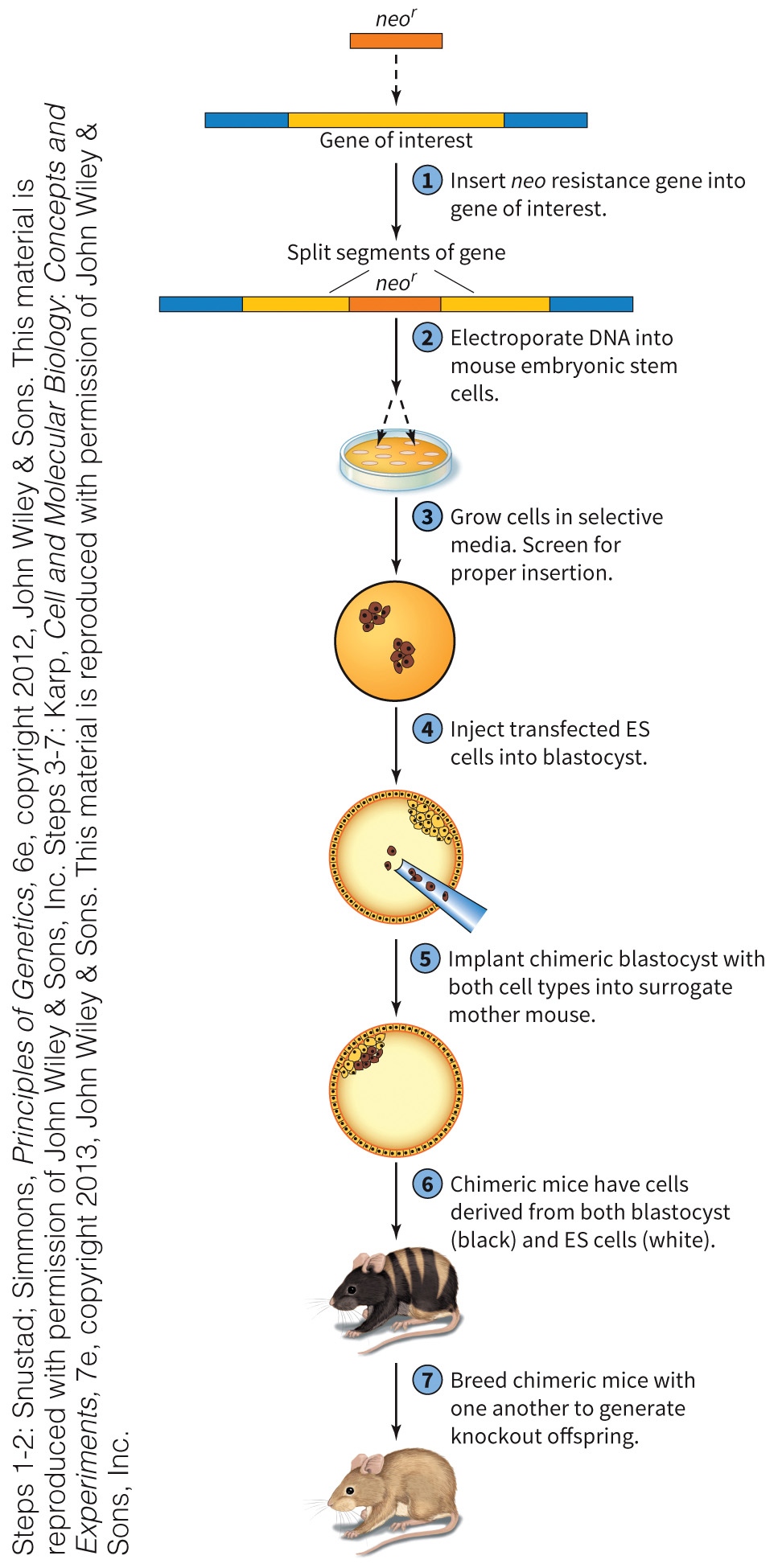 biol-4320-materials/Course Materials/_assets/tan1e_ch_02_lecture/image-033.jpg