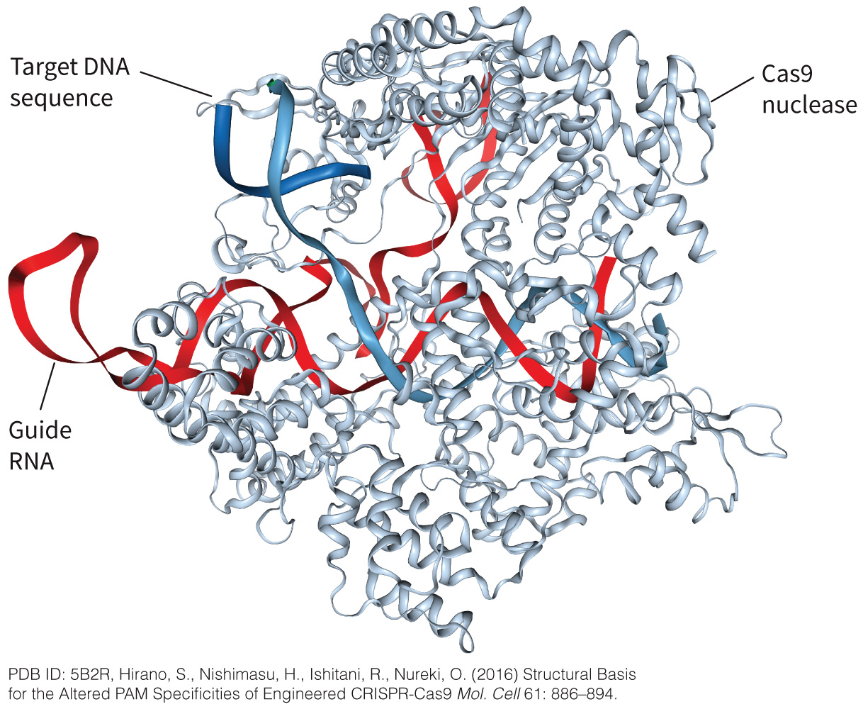 biol-4320-materials/Course Materials/_assets/tan1e_ch_02_lecture/image-035.jpg