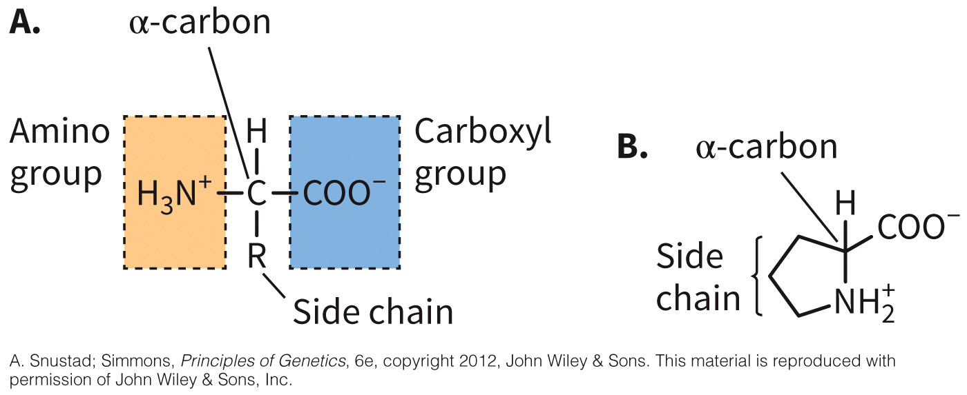 biol-4320-materials/Course Materials/_assets/tan1e_ch_03_lecture/image-001.jpg