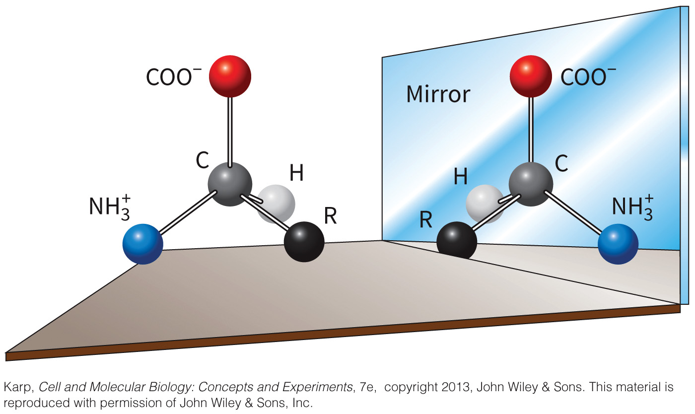 biol-4320-materials/Course Materials/_assets/tan1e_ch_03_lecture/image-002.jpg