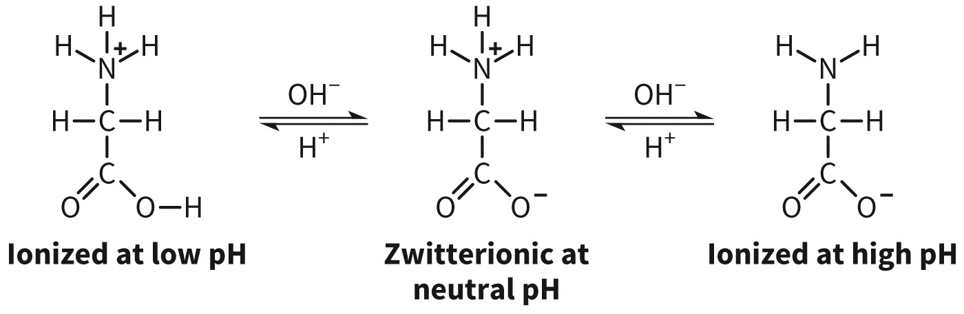 biol-4320-materials/Course Materials/_assets/tan1e_ch_03_lecture/image-003.jpg