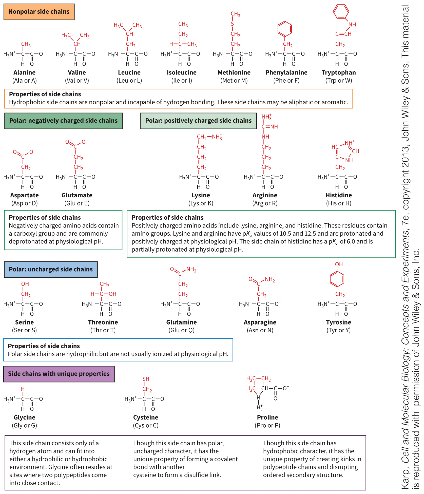 biol-4320-materials/Course Materials/_assets/tan1e_ch_03_lecture/image-004.jpg