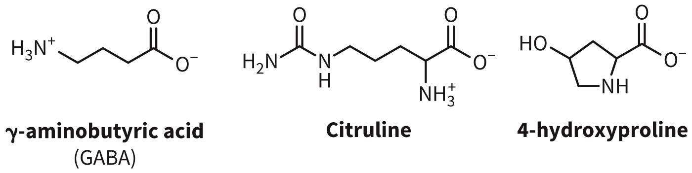 biol-4320-materials/Course Materials/_assets/tan1e_ch_03_lecture/image-005.jpg