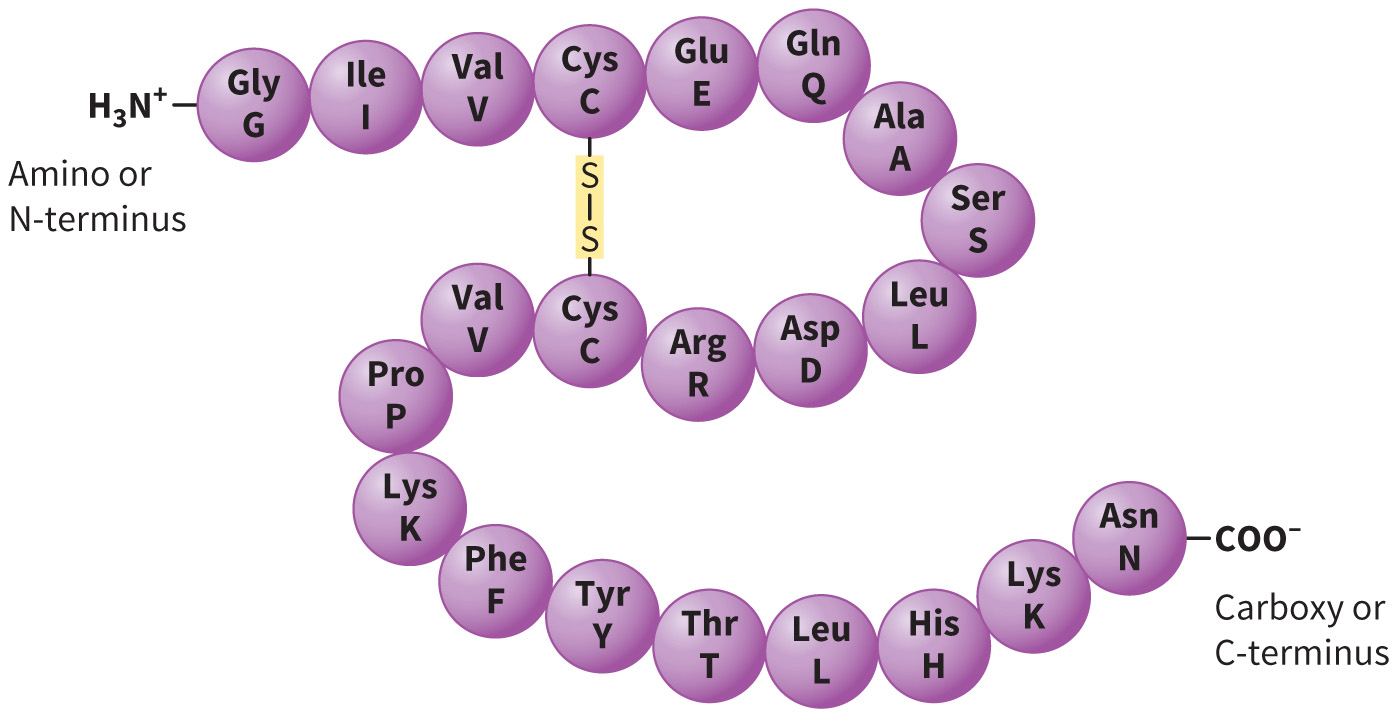 biol-4320-materials/Course Materials/_assets/tan1e_ch_03_lecture/image-009.jpg