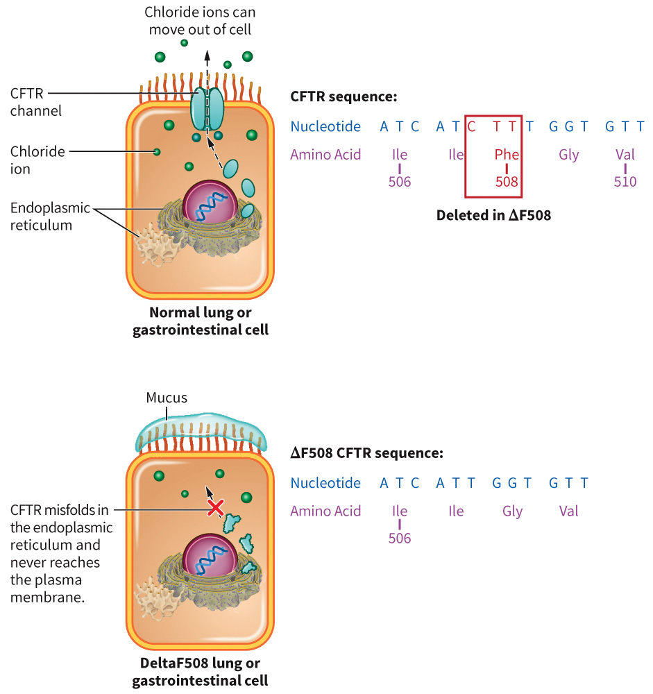 biol-4320-materials/Course Materials/_assets/tan1e_ch_03_lecture/image-010.jpg