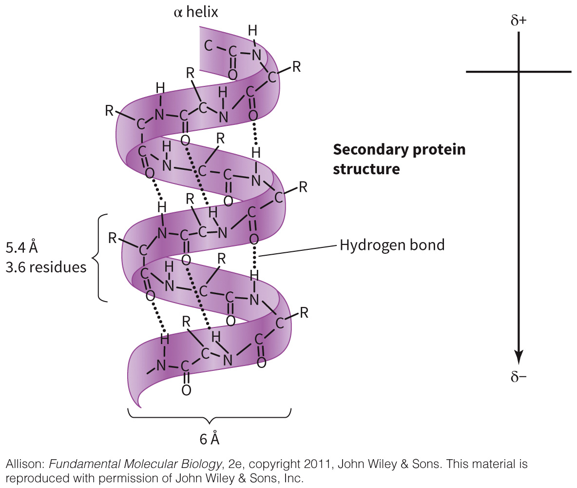 biol-4320-materials/Course Materials/_assets/tan1e_ch_03_lecture/image-011.jpg