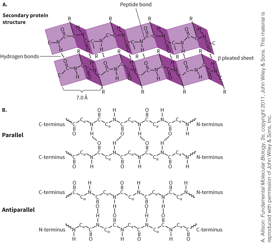 biol-4320-materials/Course Materials/_assets/tan1e_ch_03_lecture/image-012.jpg