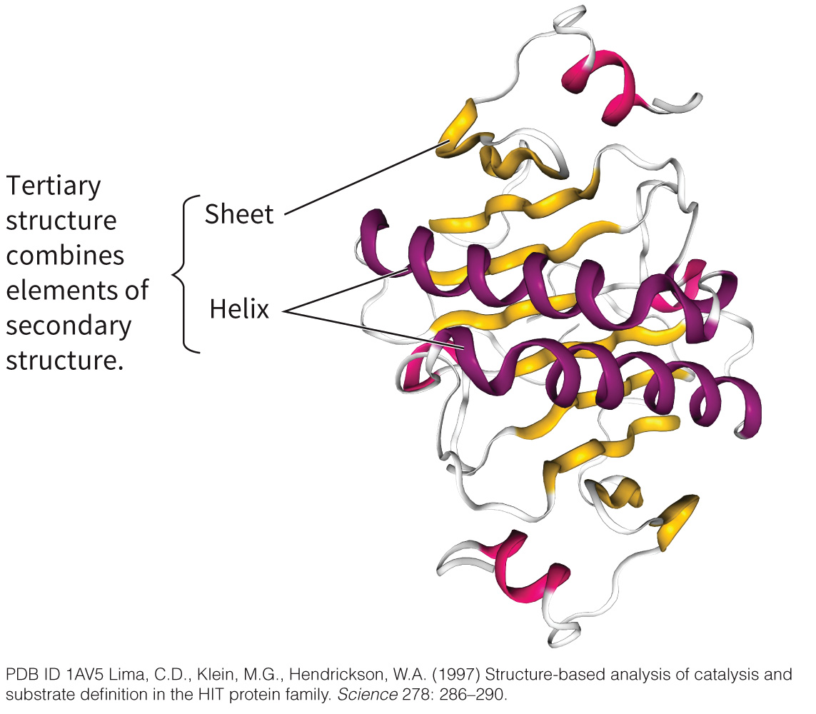 biol-4320-materials/Course Materials/_assets/tan1e_ch_03_lecture/image-014.jpg
