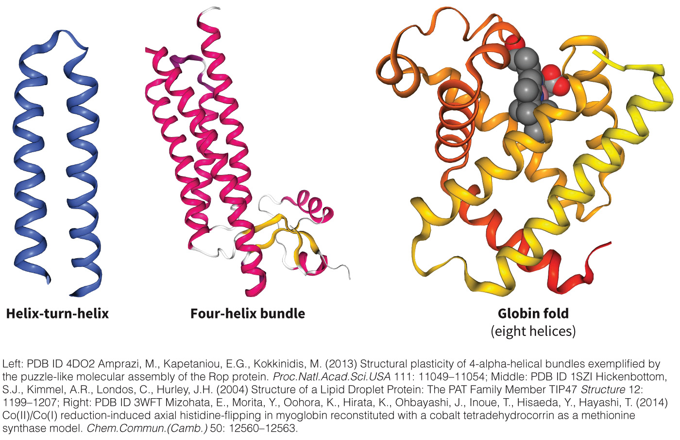 biol-4320-materials/Course Materials/_assets/tan1e_ch_03_lecture/image-015.jpg