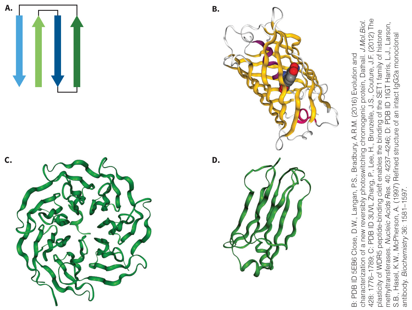 biol-4320-materials/Course Materials/_assets/tan1e_ch_03_lecture/image-016.jpg