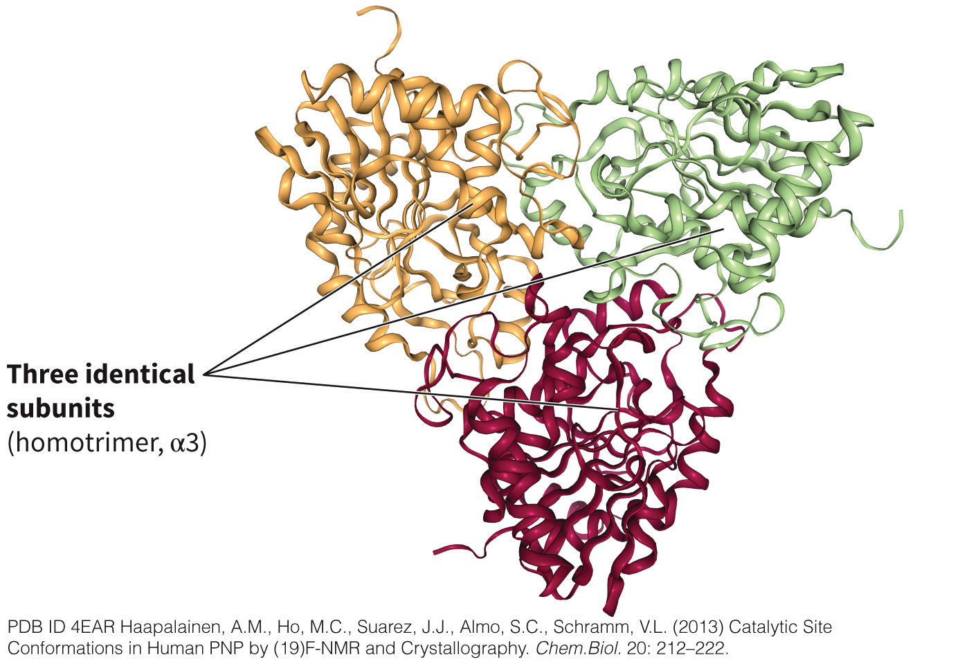 biol-4320-materials/Course Materials/_assets/tan1e_ch_03_lecture/image-018.jpg