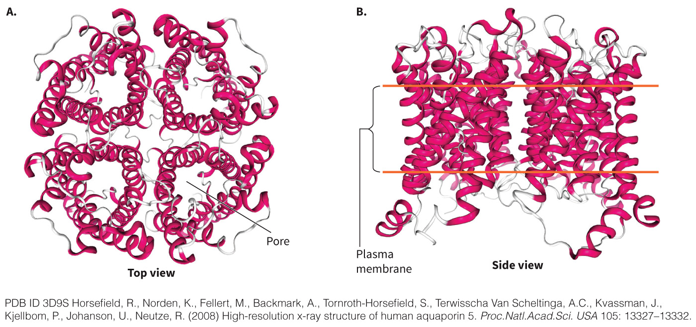 biol-4320-materials/Course Materials/_assets/tan1e_ch_03_lecture/image-019.jpg