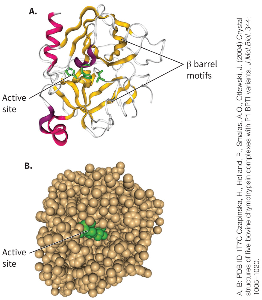 biol-4320-materials/Course Materials/_assets/tan1e_ch_03_lecture/image-020.jpg