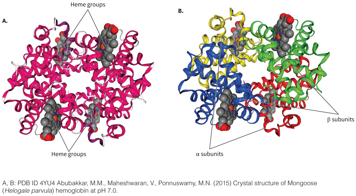 biol-4320-materials/Course Materials/_assets/tan1e_ch_03_lecture/image-022.jpg