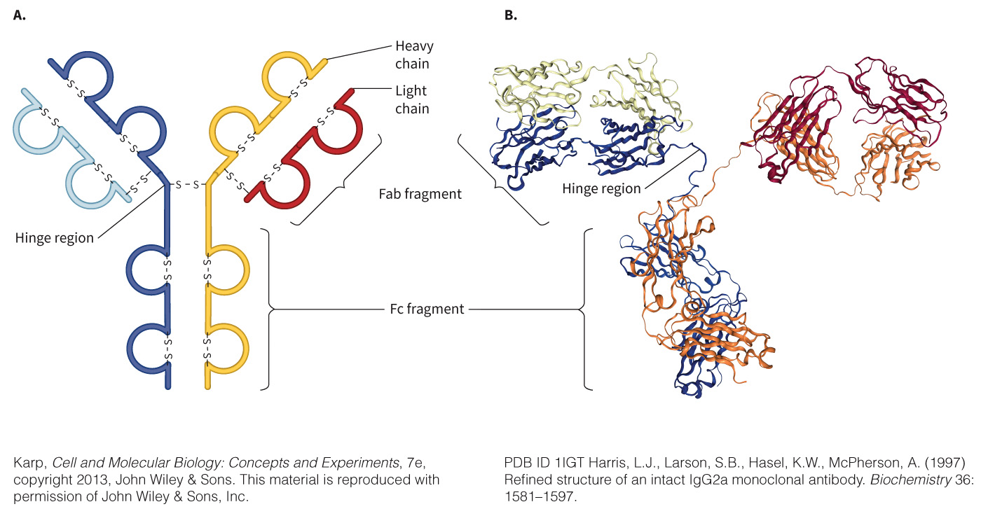 biol-4320-materials/Course Materials/_assets/tan1e_ch_03_lecture/image-023.jpg