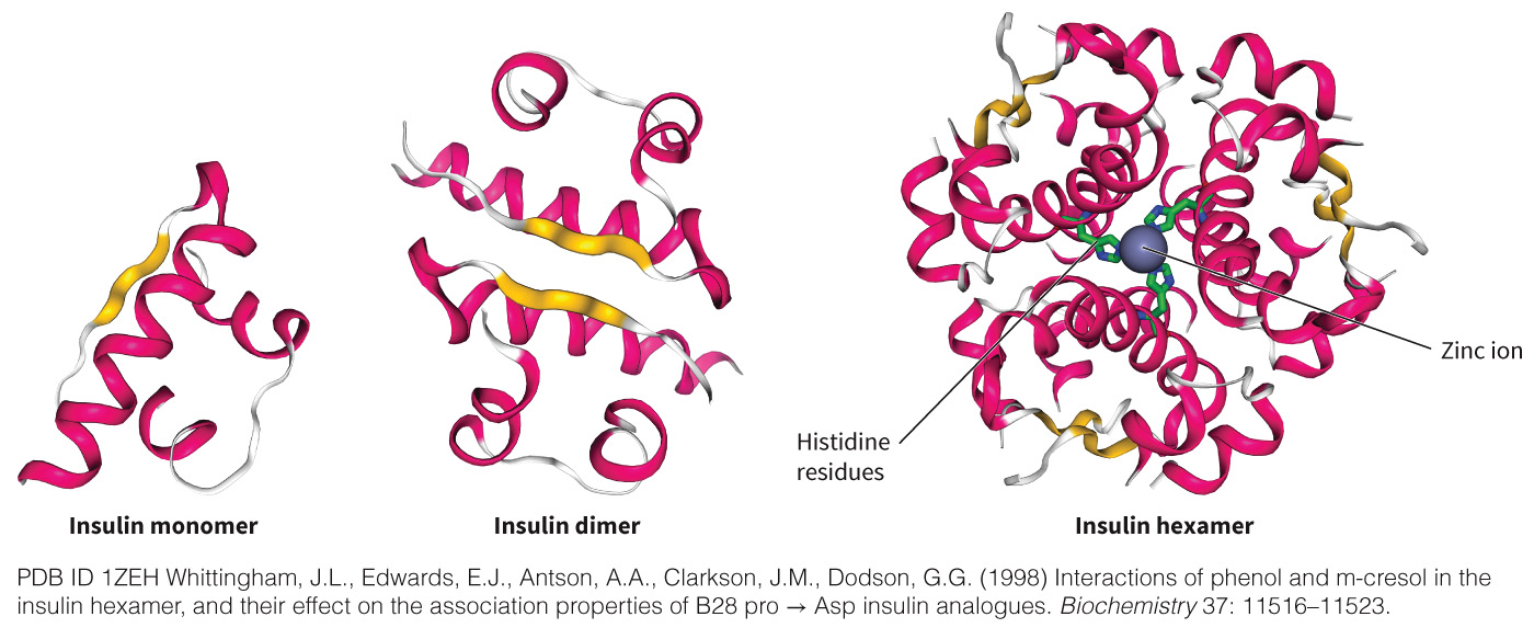 biol-4320-materials/Course Materials/_assets/tan1e_ch_03_lecture/image-024.jpg
