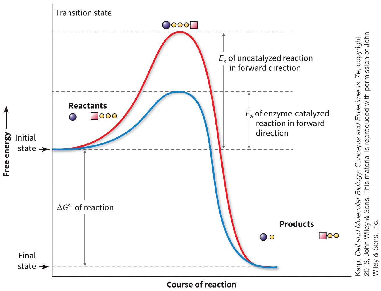 biol-4320-materials/Course Materials/_assets/tan1e_ch_04_lecture/image-005.jpg528