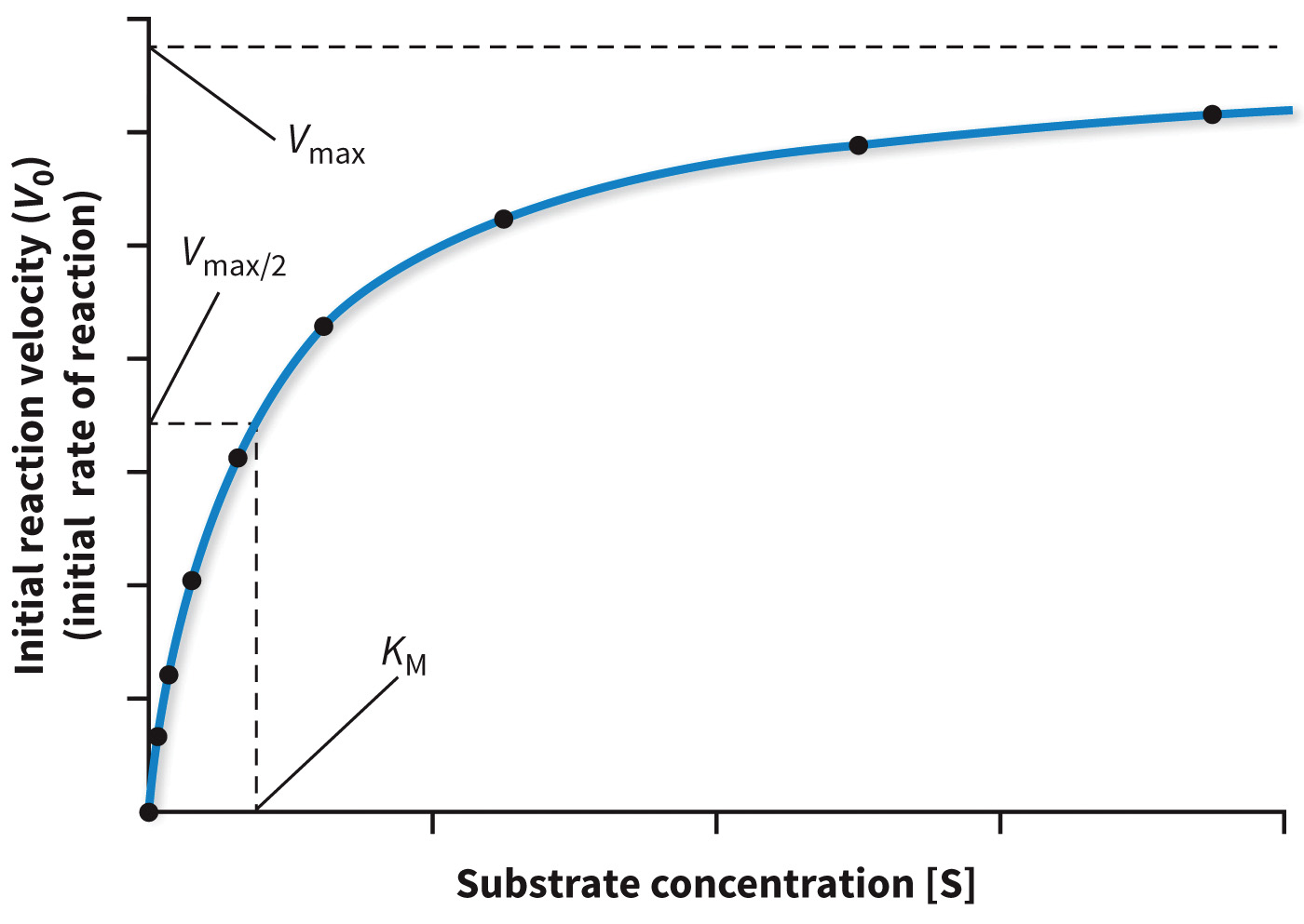 biol-4320-materials/Course Materials/_assets/tan1e_ch_04_lecture/image-009.jpg442