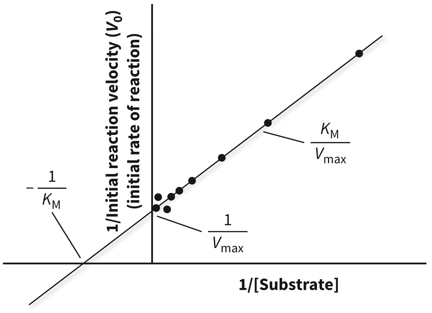 biol-4320-materials/Course Materials/_assets/tan1e_ch_04_lecture/image-011.jpg475