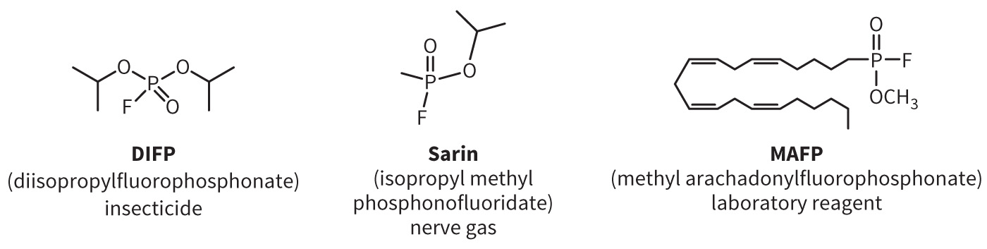biol-4320-materials/Course Materials/_assets/tan1e_ch_04_lecture/image-013.jpg