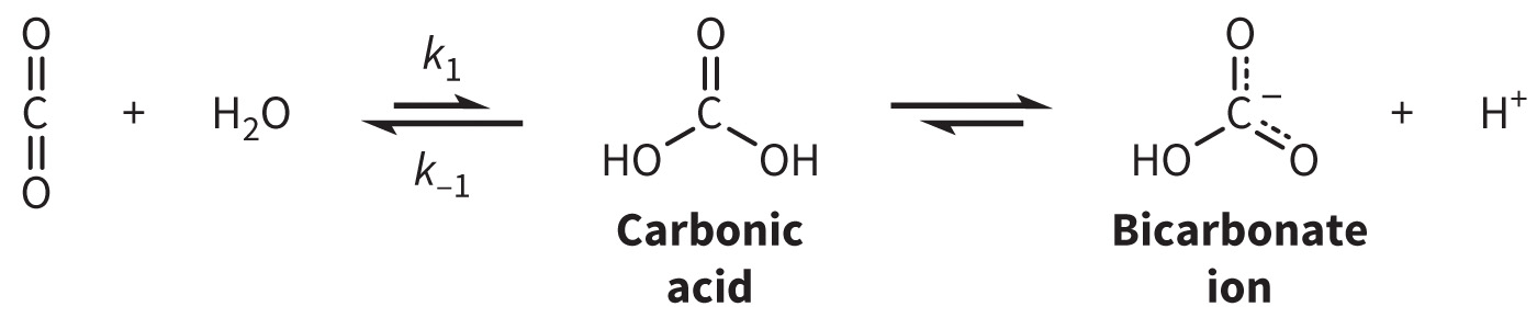biol-4320-materials/Course Materials/_assets/tan1e_ch_04_lecture/image-021.jpg