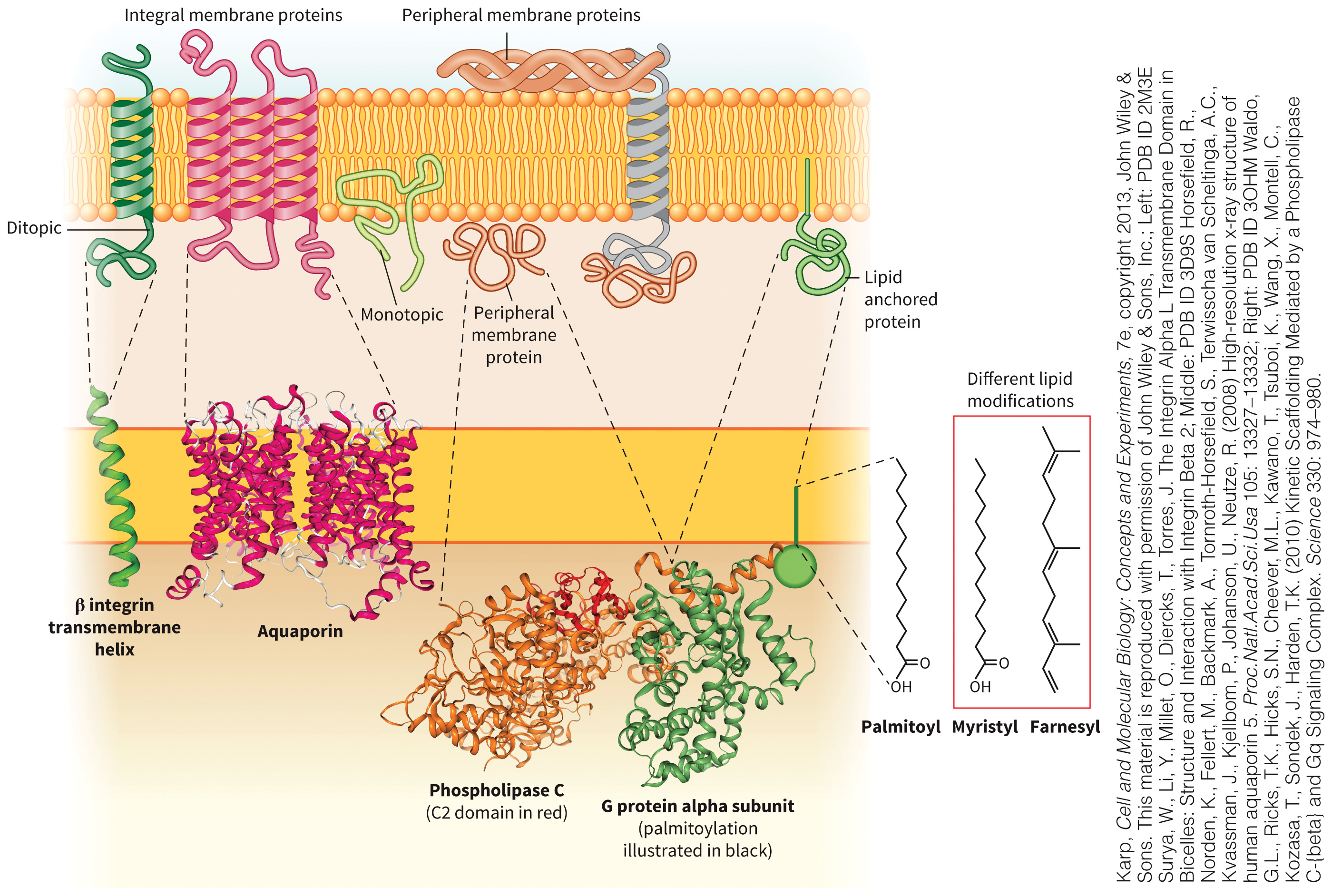 biol-4320-materials/Course Materials/_assets/tan1e_ch_05_lecture/image-002.jpg