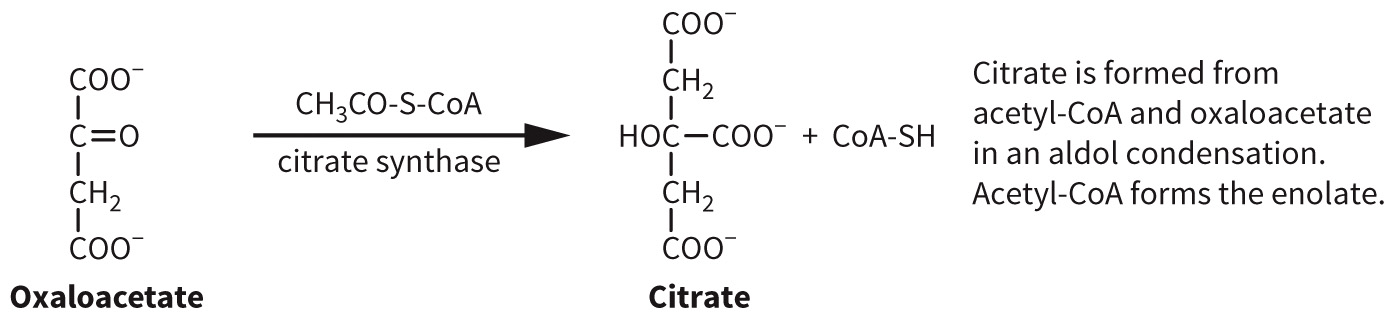 biol-4320-materials/Course Materials/_assets/tan1e_ch_07_lecture/image-002.jpg