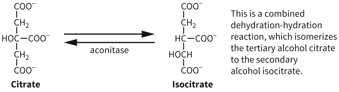biol-4320-materials/Course Materials/_assets/tan1e_ch_07_lecture/image-003.jpg