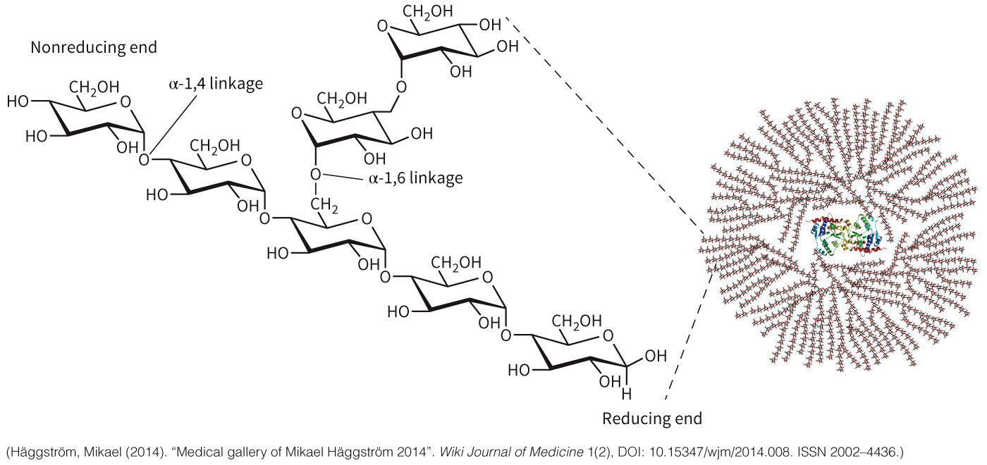 biol-4320-materials/Course Materials/_assets/tan1e_ch_08_lecture/image-001.jpg
